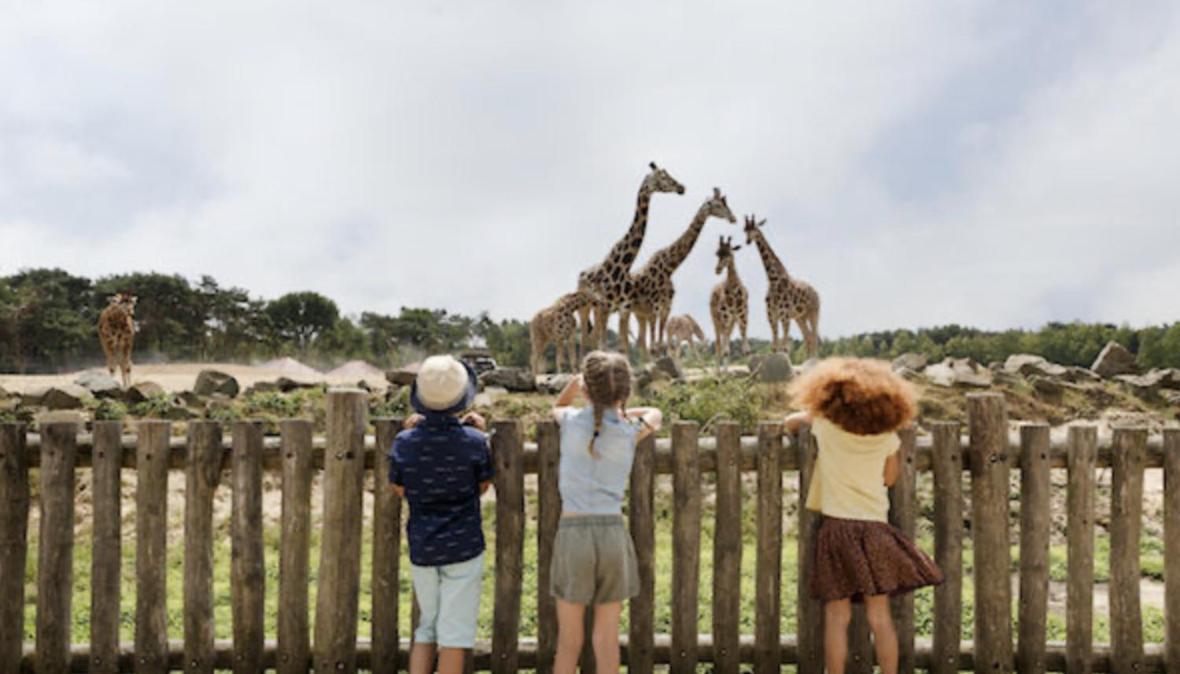 29, Natuurlijk Gelegen Nabij Efteling En Beekse Bergen, Airco & Prive Parkeren Inbegrepen! Oisterwijk Exterior photo