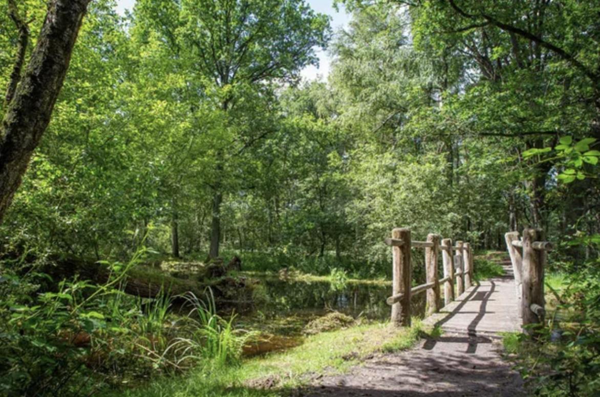 29, Natuurlijk Gelegen Nabij Efteling En Beekse Bergen, Airco & Prive Parkeren Inbegrepen! Oisterwijk Exterior photo